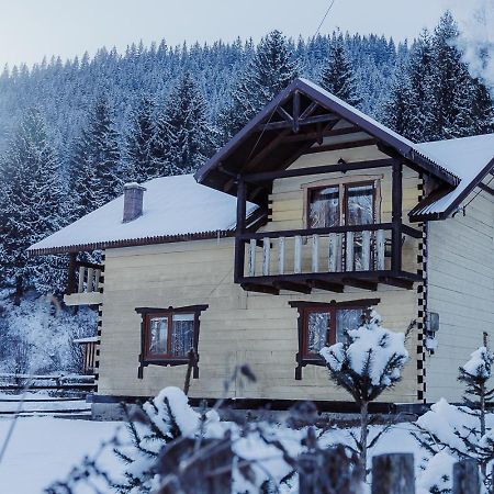 Villa 7+Я Verkhovyna Esterno foto