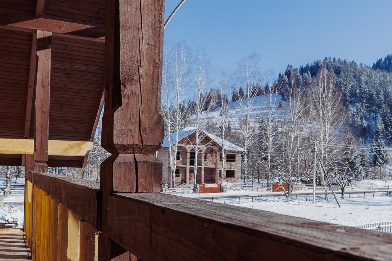 Villa 7+Я Verkhovyna Esterno foto
