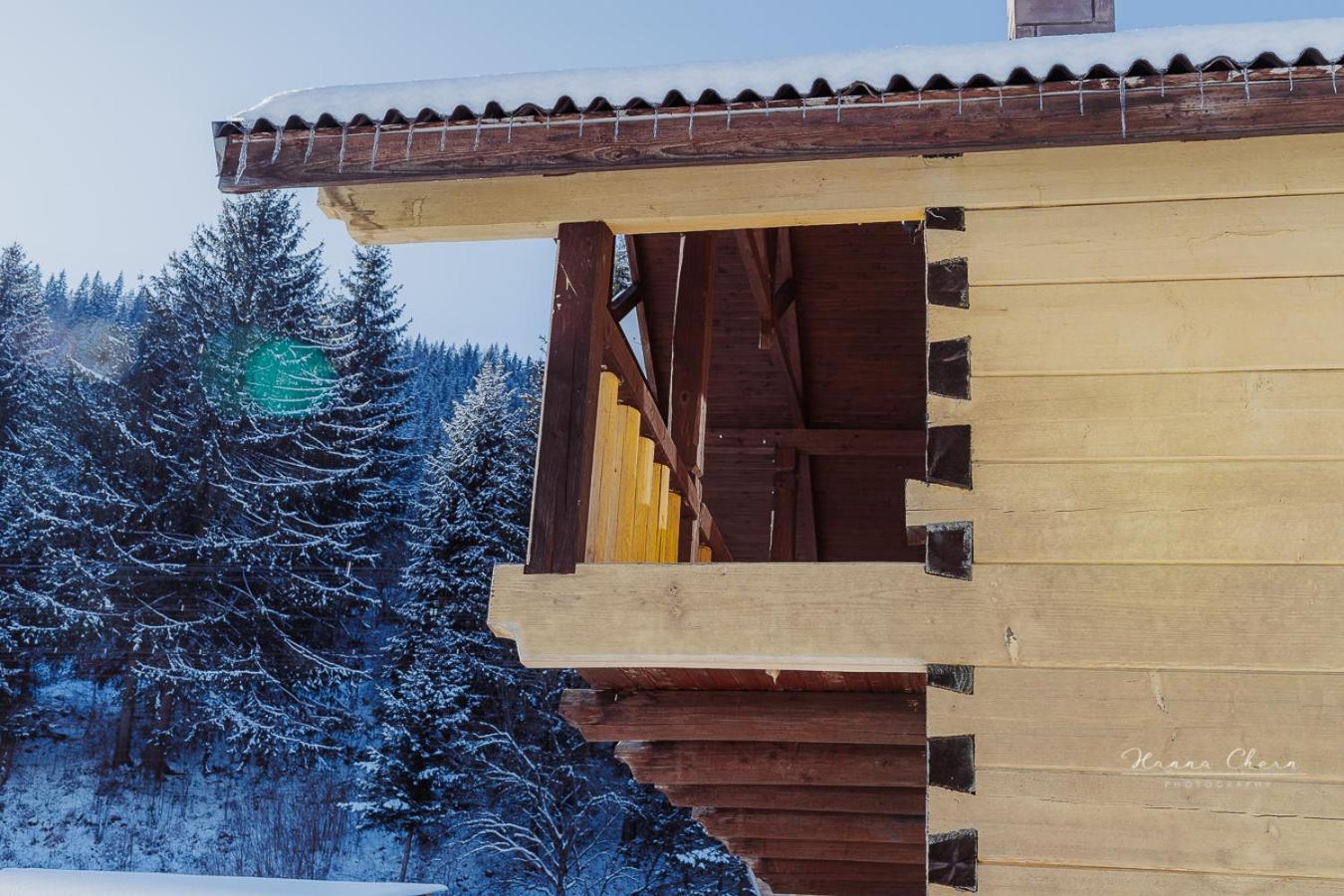 Villa 7+Я Verkhovyna Esterno foto