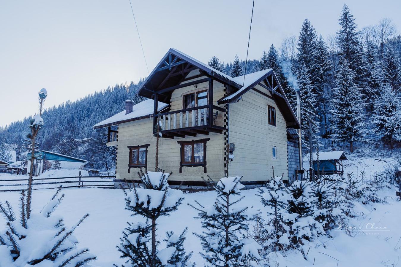 Villa 7+Я Verkhovyna Esterno foto